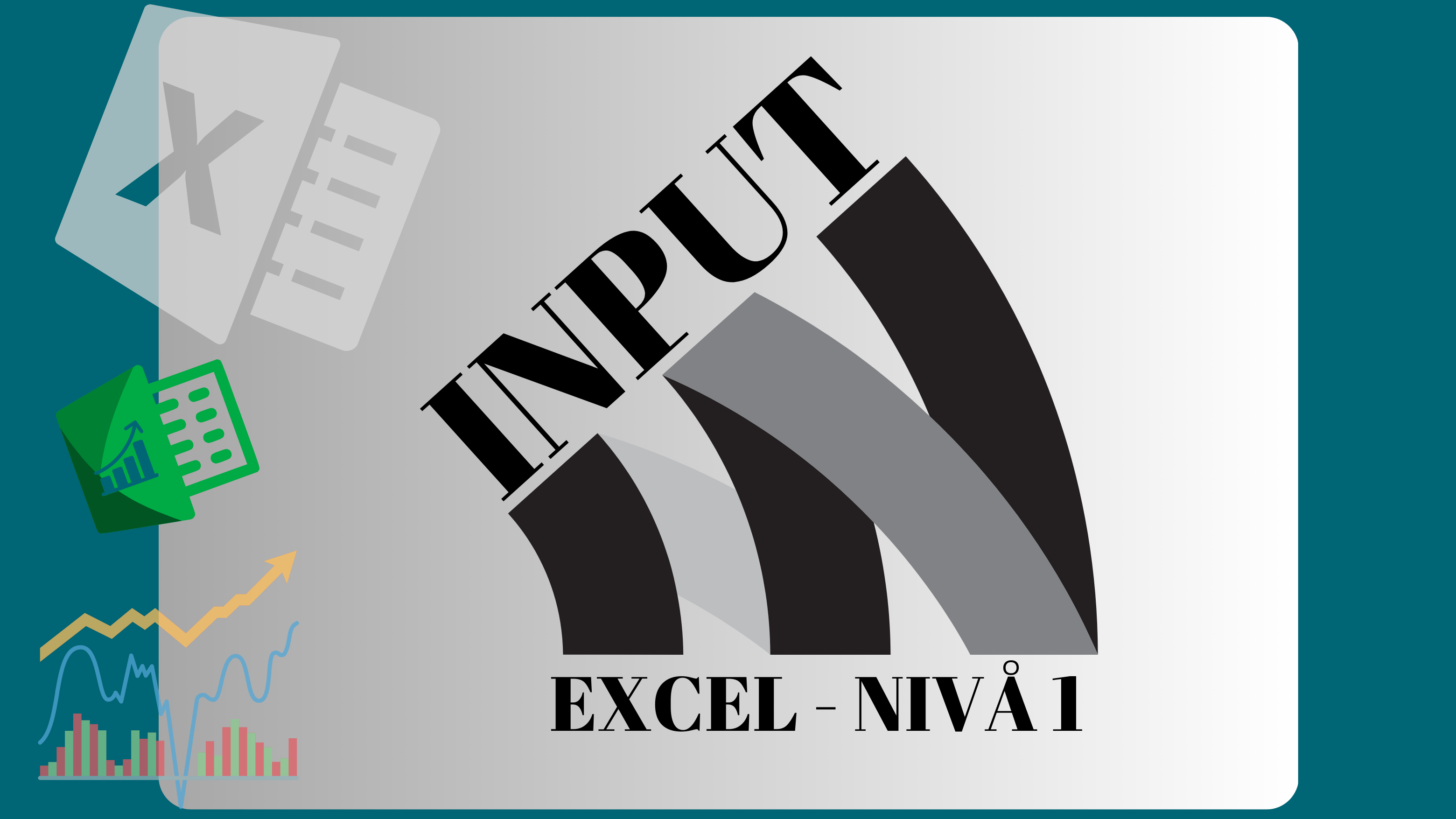 INput Excel - Nivå 1